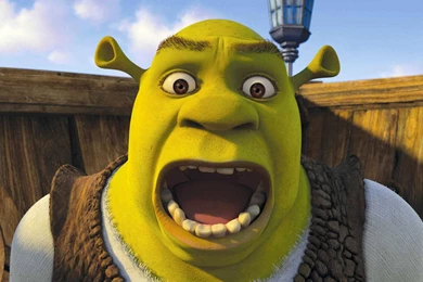 Shrek Reaction Face   Wallpaper.