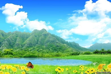 Beautiful Summer Wallpapers 3   Crazy Frankenstein