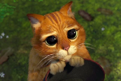 64 Shrek HD Wallpapers