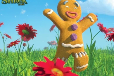 Jengibre Shrek HD Wallpapers For Desktop   Cartoons Wallpapers