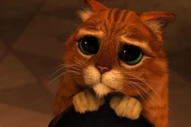 Desktop Wallpapers · Gallery · Cartoons · Shrek 3   Cat