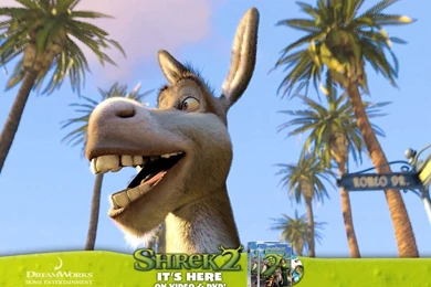 Shrek 2 Wallpapers   Wallpapers Cave