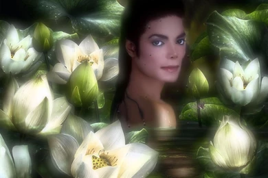 Exotic Flower   Michael Jackson Wallpapers (14154403)   Fanpop