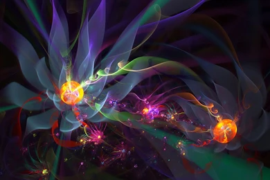 Flowers Desktop Themes . Warez Forum