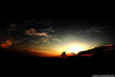 Awesome Wallpapers 2   Crazy Frankenstein