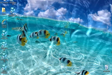 Wallpapers Desktop Mp3 Download