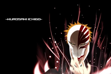 Wallpapers Bleach Bankai   Wallpapers Cave