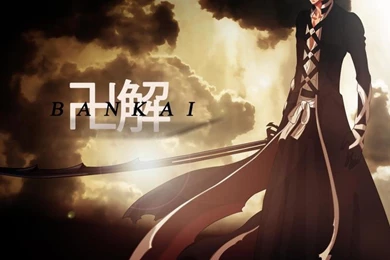 BANKAI WALLPAPER   (