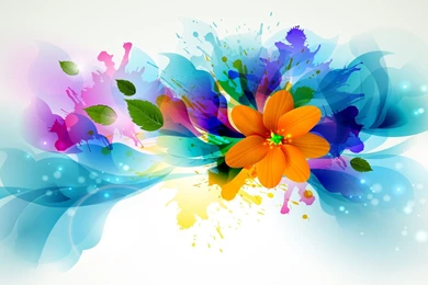 Flowers Wallpapers White Backgrounds Full Hd Abstract High ...