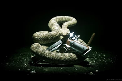 Pic > Awesome Gun Wallpapers