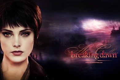 Wallpapers   Blogs   TwiFans Twilight Saga Books And Movie Fansite