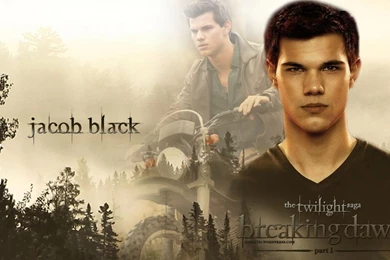 Breaking Dawn Wallpapers