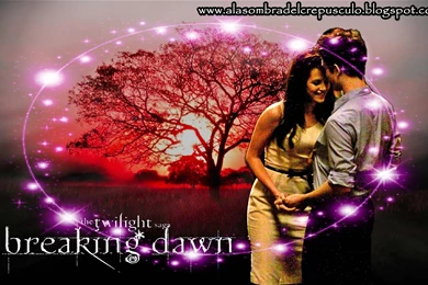 Breaking Dawn (Amanecer)   Twilight Series Wallpapers (17437881 ...