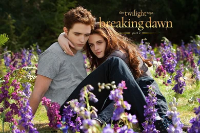 Breaking Dawn Wallpapers   Twilight Lover Forever!!! Wallpapers ...