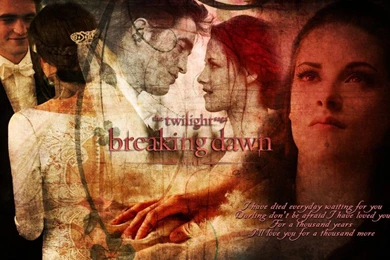 The Twilight Saga Breaking Dawn Part1 Wallpapers By Nilly247 On ...