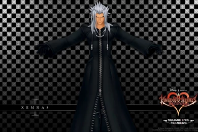 Final Kingdom: Organization XIII Wallpapers.