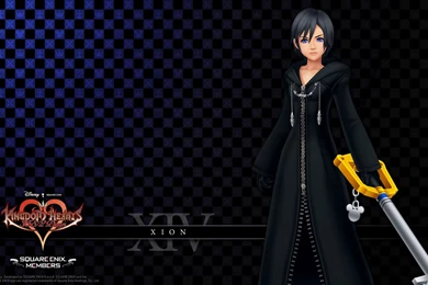 Organization XIII, Wallpapers