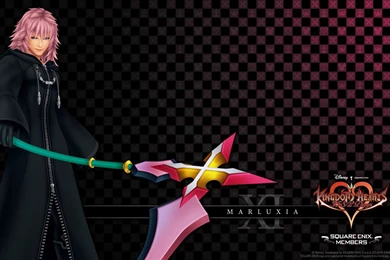 Organization XIII, Wallpapers