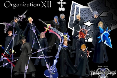 Kingdom Hearts: The Darkest Hour (5 Users)