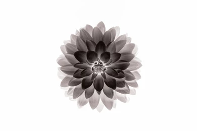 iPad Retina Wallpapers HD   Retina Ready, Stunning Wallpapers