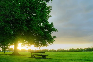 Nature Wallpapers HD • IPhones Wallpapers