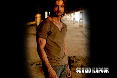 Top Actor Shahid Kapoor Full Hd Images Bollywood Chocolaty Actor ...