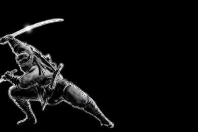 Ninja Wallpapers   Artistic Wallpapers