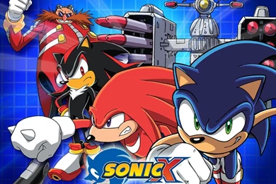 Shadow Of A Hedgehog ./ Desktop ./ Sonic X Wallpapers