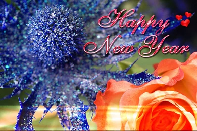 FreePhotoz Daily Wallpapers & Backgrounds   Happy New Year Rose ...