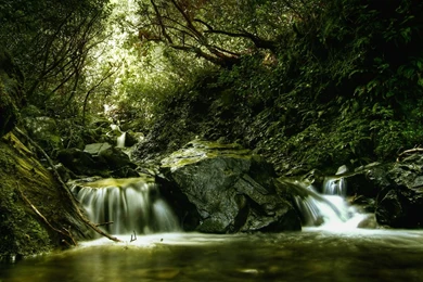 Beautiful Backgrounds For Desktop