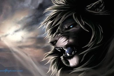 Lion Wallpapers Hd Free Download Archives   Free Wallpapers In