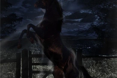 Anni's Favorites   Worth1000 Collections