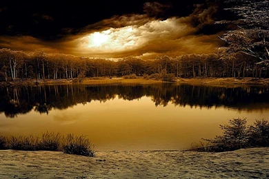 Amazing Nature Beautiful HD Wallpapers Desktop Backgrounds   HD ...