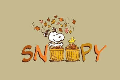 Wallpapers Ipod/iphone