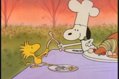 Peanuts Thanksgiving Wallpapers 2015   Grasscloth Wallpapers