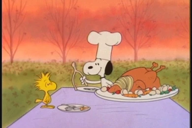 Charlie Brown Thanksgiving Wallpapers 2015   Grasscloth Wallpapers