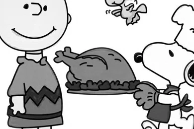 Download Snoopy Thanksgiving Screensaver For Amazon Kindle 3