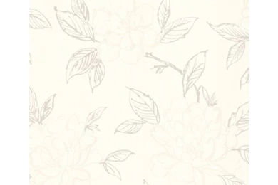 Pic > Bloom Wallpapers Superfresco