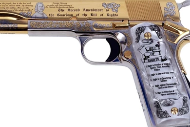 Guns Control Wallpaper Images