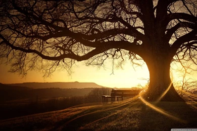 Magic Autumn HD Desktop Wallpapers : Widescreen : High Definition ...