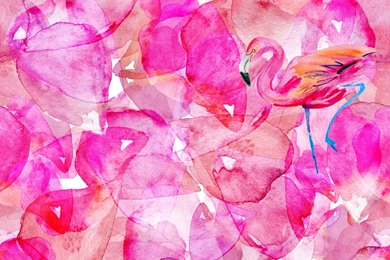 DOWNLOADS   CARRIE LEBER PR