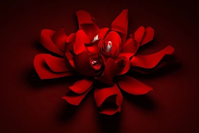 1280x960 Young Love Desktop PC And Mac Wallpapers