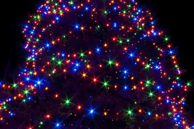 Norfolk christmas tree 12 23 2012_kindle fire 600x1024.jpg