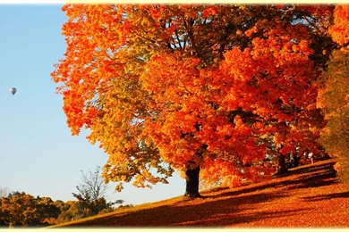 Fall Wallpapers 4b3   HD Wallpapers