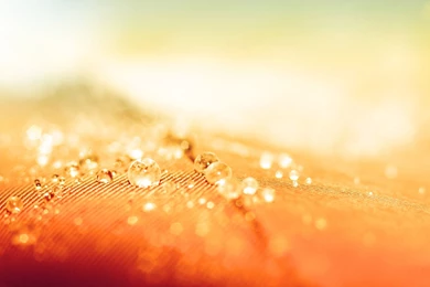 Abstract Wallpapers STAY001