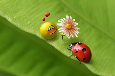 1280x800px Cute Wallpapers For PC