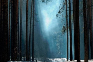 Galaxy S3 Wallpapers HD   Beautiful, Stunning Wallpapers