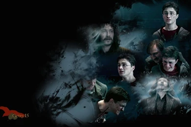 Harry Potter Wallpapers   Harry Potter Photo (14375642)   Fanpop