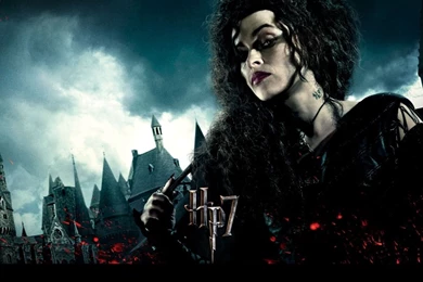 Harry Potter Wallpapers   Harry Potter Wallpapers (25655481)   Fanpop