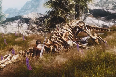 Download 1366x768 Skyrim Dragon Skeleton Wallpapers